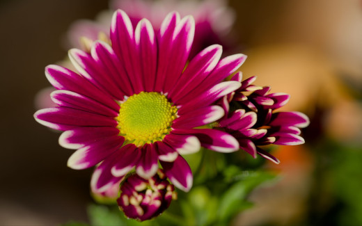 �1762243 �������(a): ����������:2560x1600